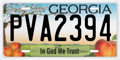 GA license plate PVA2394