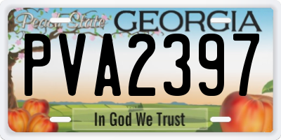 GA license plate PVA2397