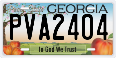 GA license plate PVA2404
