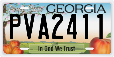 GA license plate PVA2411
