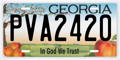 GA license plate PVA2420