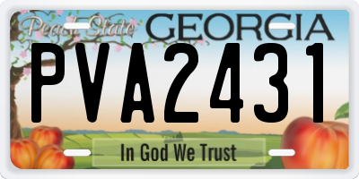 GA license plate PVA2431