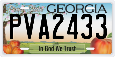 GA license plate PVA2433
