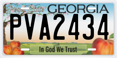 GA license plate PVA2434