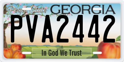 GA license plate PVA2442