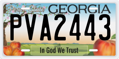 GA license plate PVA2443