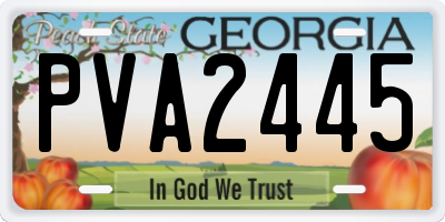 GA license plate PVA2445