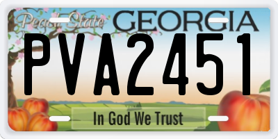 GA license plate PVA2451