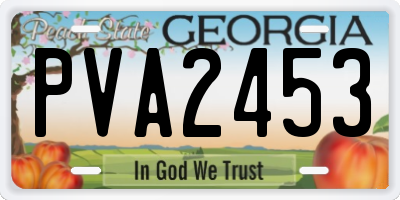 GA license plate PVA2453