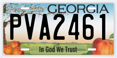 GA license plate PVA2461