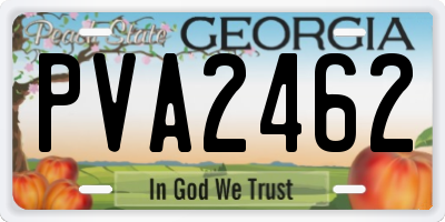GA license plate PVA2462