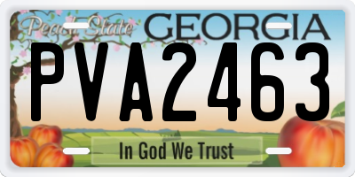 GA license plate PVA2463