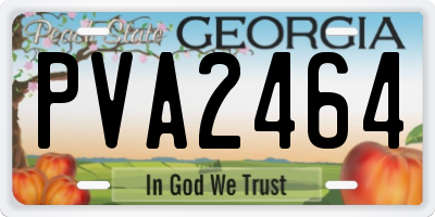 GA license plate PVA2464