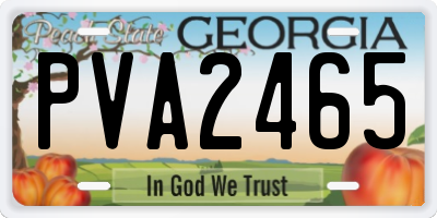 GA license plate PVA2465