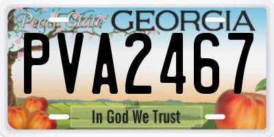 GA license plate PVA2467
