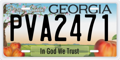 GA license plate PVA2471