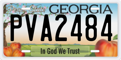 GA license plate PVA2484