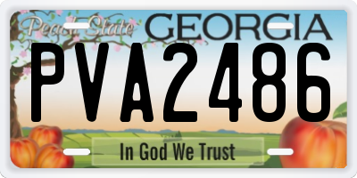 GA license plate PVA2486