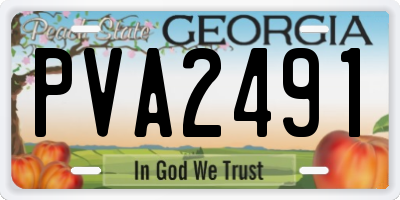 GA license plate PVA2491