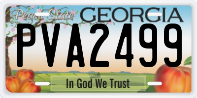 GA license plate PVA2499