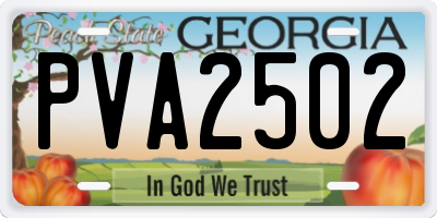 GA license plate PVA2502