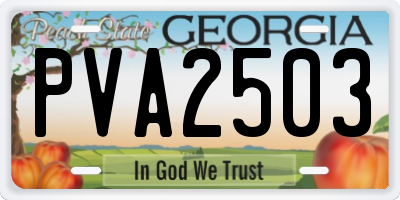 GA license plate PVA2503