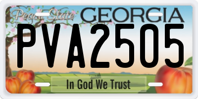 GA license plate PVA2505