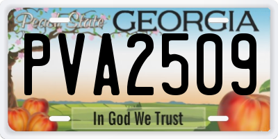 GA license plate PVA2509