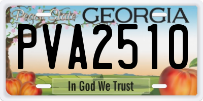GA license plate PVA2510