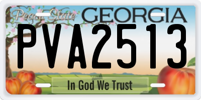GA license plate PVA2513