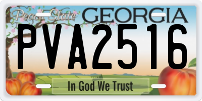 GA license plate PVA2516