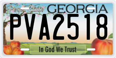 GA license plate PVA2518