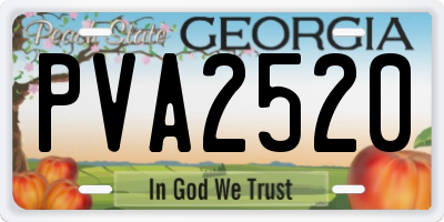 GA license plate PVA2520