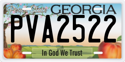 GA license plate PVA2522