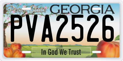 GA license plate PVA2526
