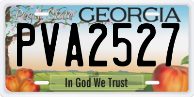 GA license plate PVA2527