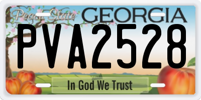 GA license plate PVA2528