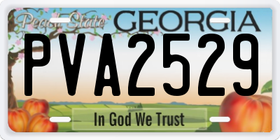GA license plate PVA2529