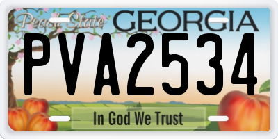 GA license plate PVA2534