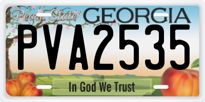 GA license plate PVA2535