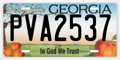 GA license plate PVA2537