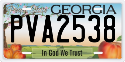 GA license plate PVA2538