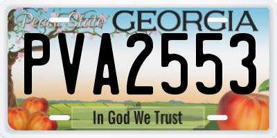 GA license plate PVA2553