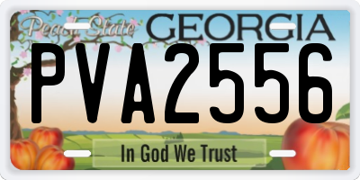 GA license plate PVA2556
