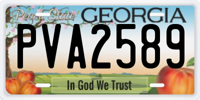GA license plate PVA2589