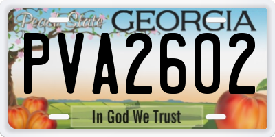 GA license plate PVA2602