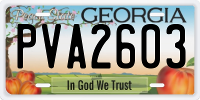 GA license plate PVA2603