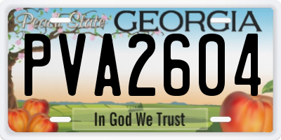 GA license plate PVA2604