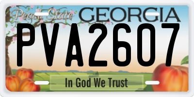GA license plate PVA2607
