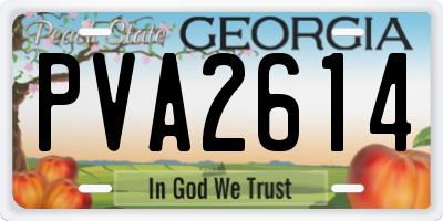 GA license plate PVA2614